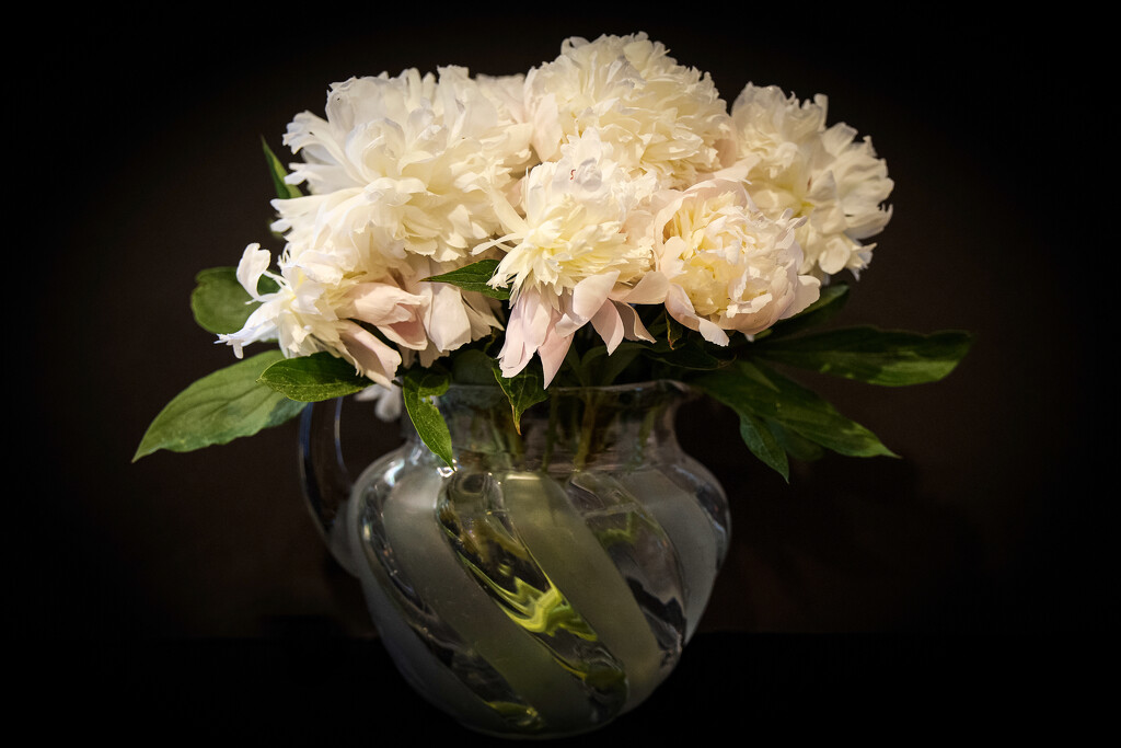 My Grandmother Nora's Peonies by berelaxed