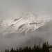 View along the Icefields Parkway by randystreat