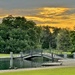 Hampton Park sunset