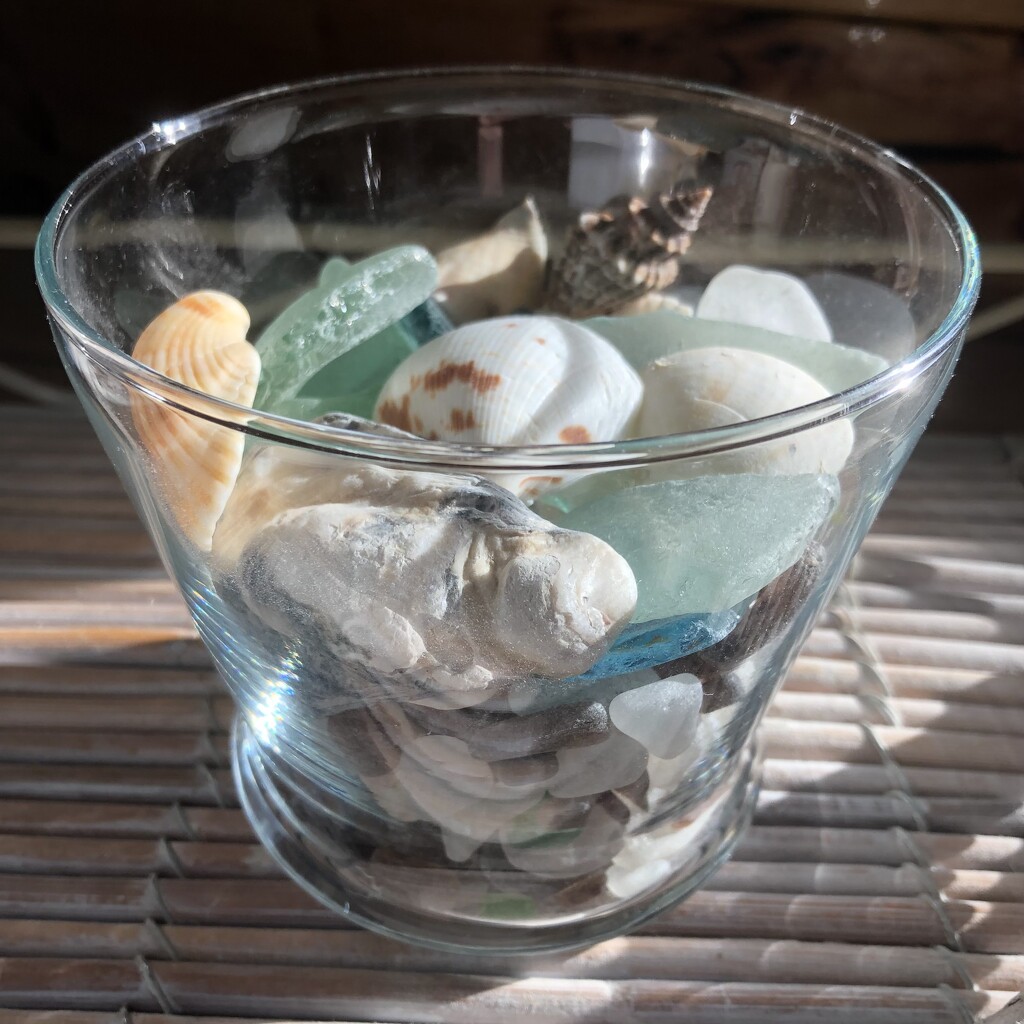 Sea Glass and Shells  by dailypix