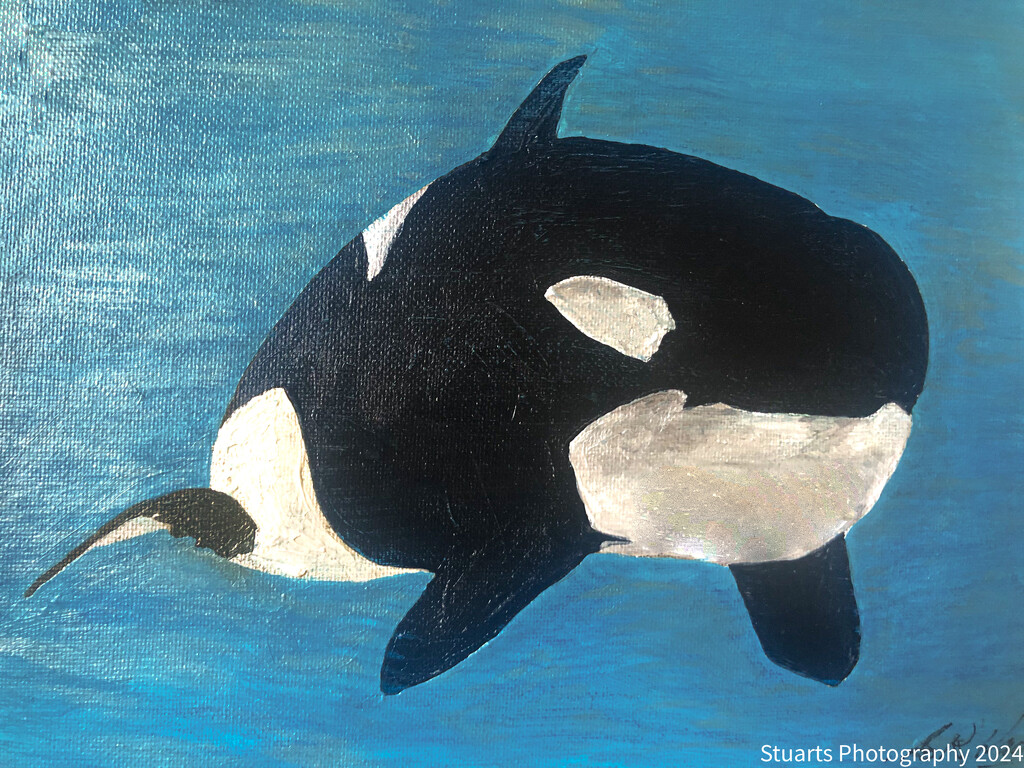 Orca (painting) by stuart46