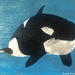 Orca (painting)