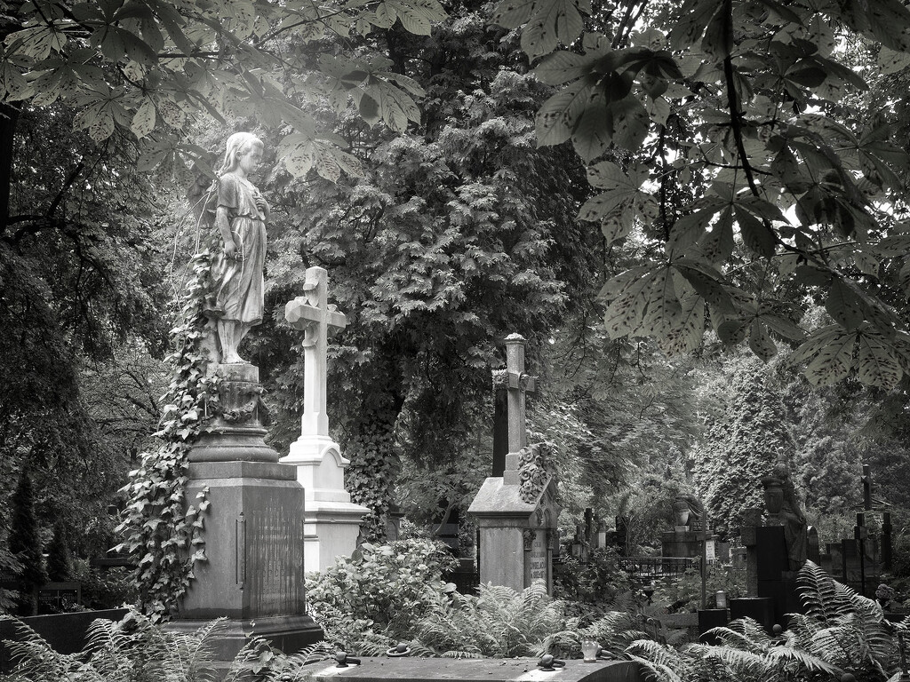 Evangelical cemetery in Warsaw by haskar