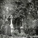 Evangelical cemetery in Warsaw by haskar