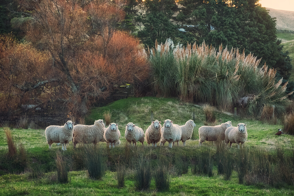 Band of Brothers by helenw2