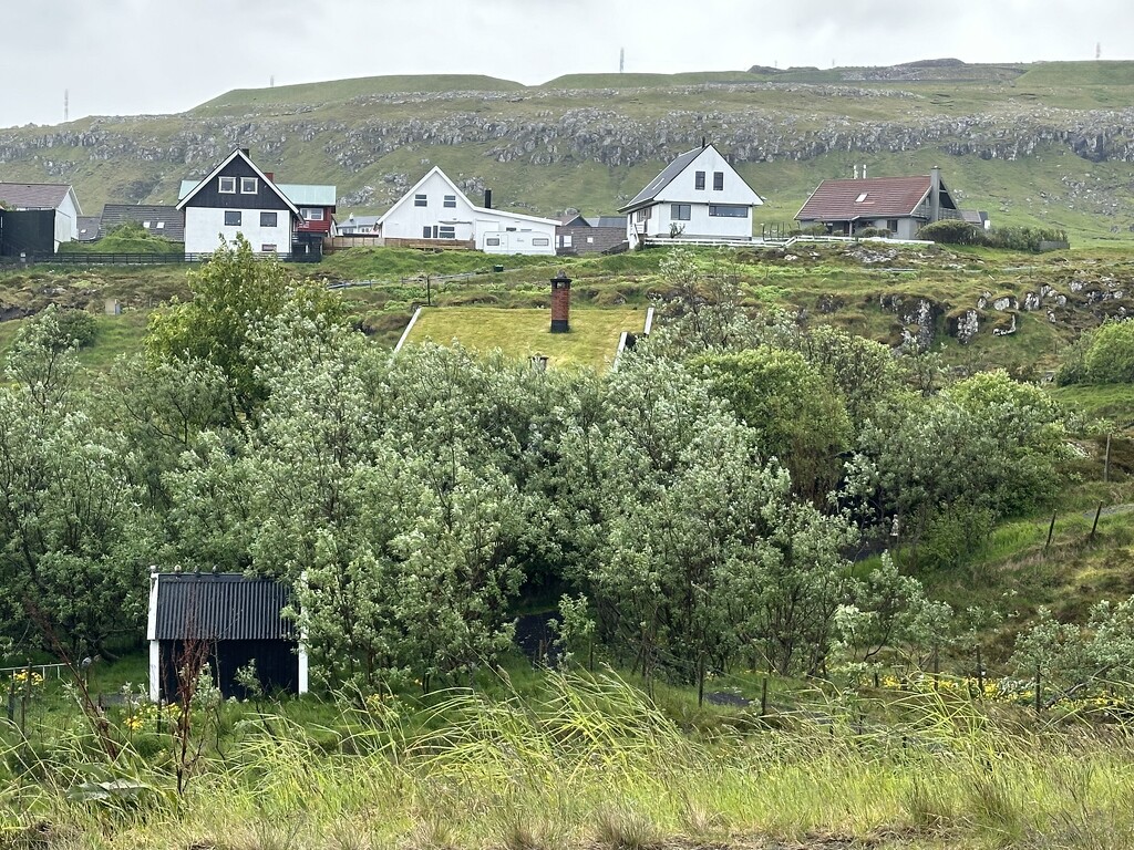 Hoyvík by mubbur
