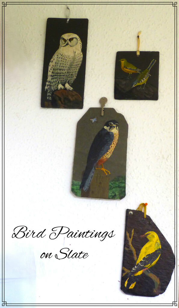 Bird Paintings on Slate by beryl