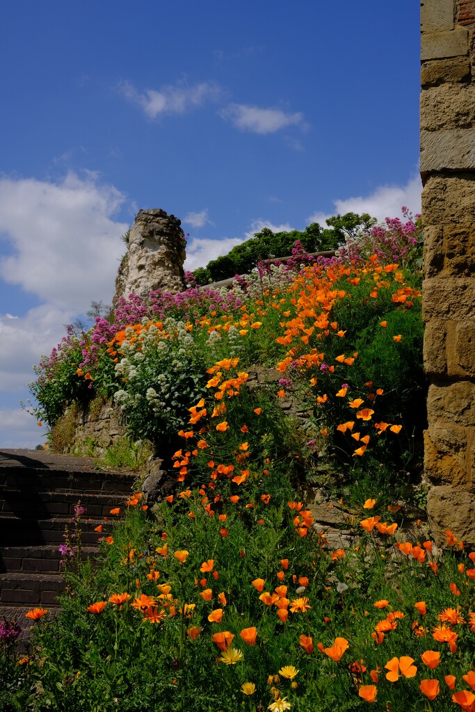 Guildford Castle grounds by happyteg