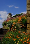 5th Jun 2024 - Guildford Castle grounds