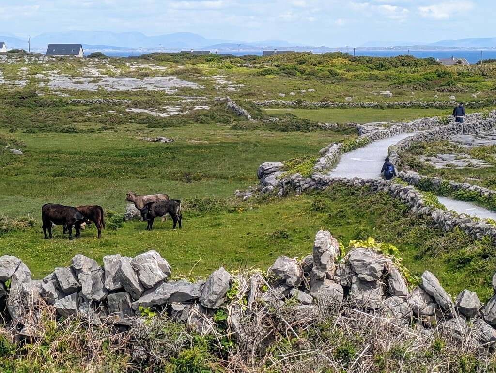 Walking trail by zilli