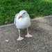 Standing on the sidewalk waiting 