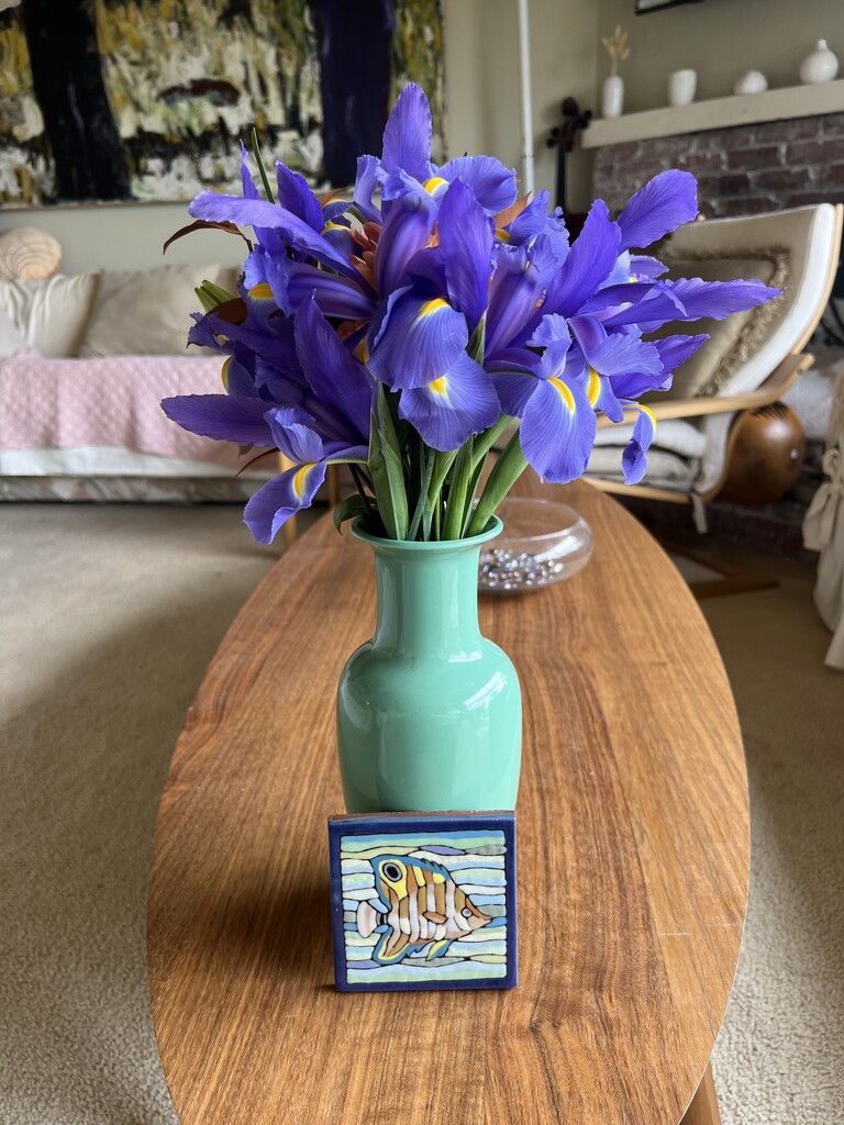 Irises for our Guest by peekysweets