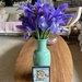 Irises for our Guest