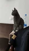 2nd Jun 2024 - Captain Agata