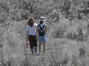 5th Jun 2024 - hiking is better with a friend