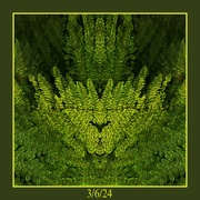 3rd Jun 2024 - The Fern King