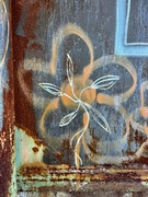 31st May 2024 - Flower graffiti