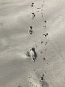 6th Jun 2024 - Footprints 
