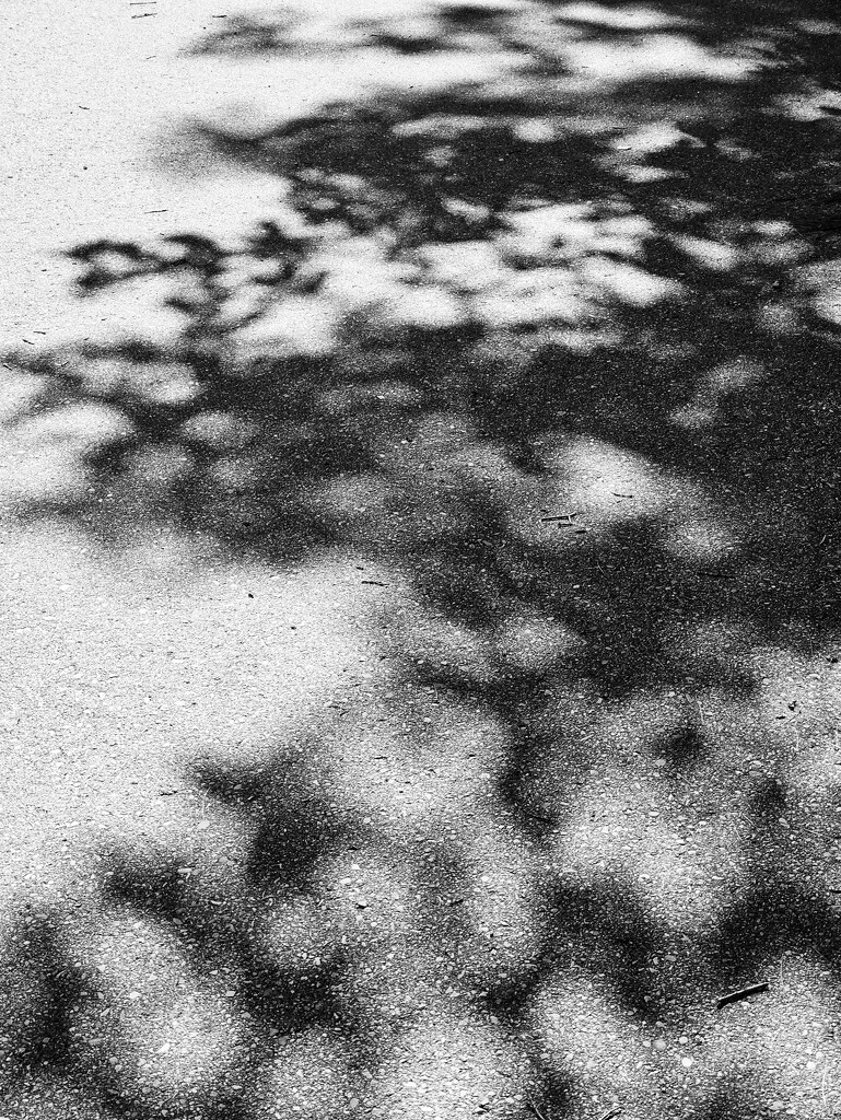 Shadows by edorreandresen