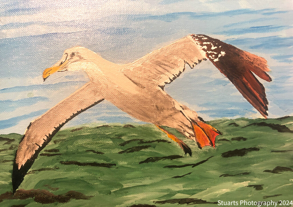 Albatross (painting) by stuart46