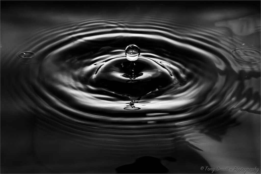 Drip & Ripples by tonus