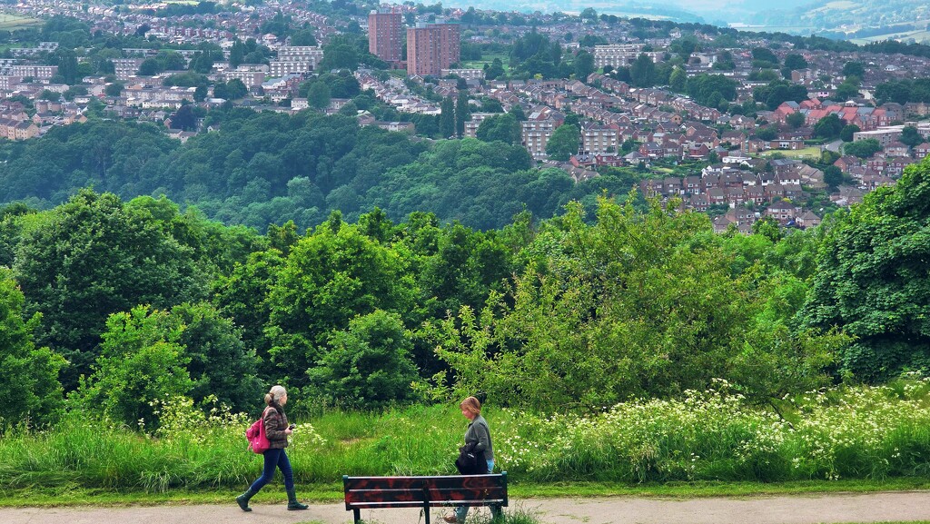 158/366 - Bolehills, Sheffield by isaacsnek