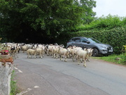 2nd Jun 2024 - Traffic Jam 