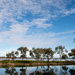 Koorlong Wetlands  by nannasgotitgoingon