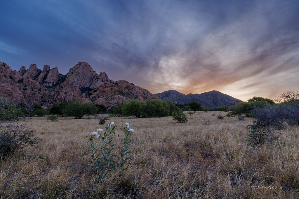Sunrise in the Dragoon Mountains (Arizona) by desertaura