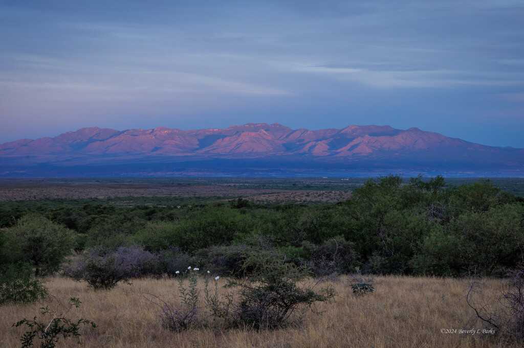 Sunrise on the Whetstone Mountains (Arizona) by desertaura