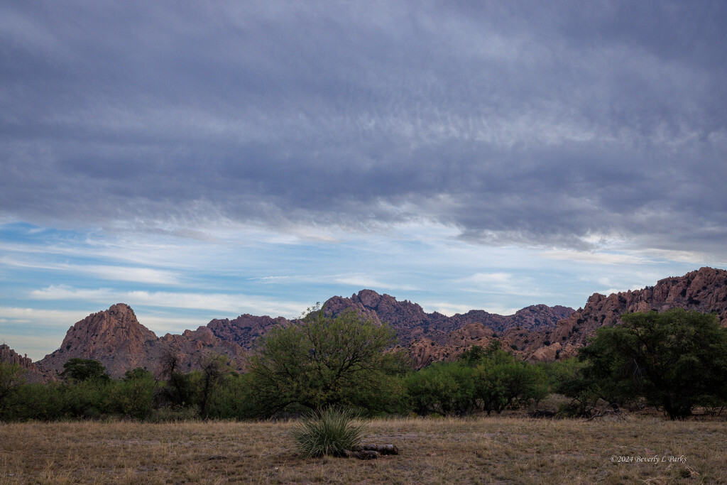 Early morning in the Dragoon Mountains (Arizona) by desertaura