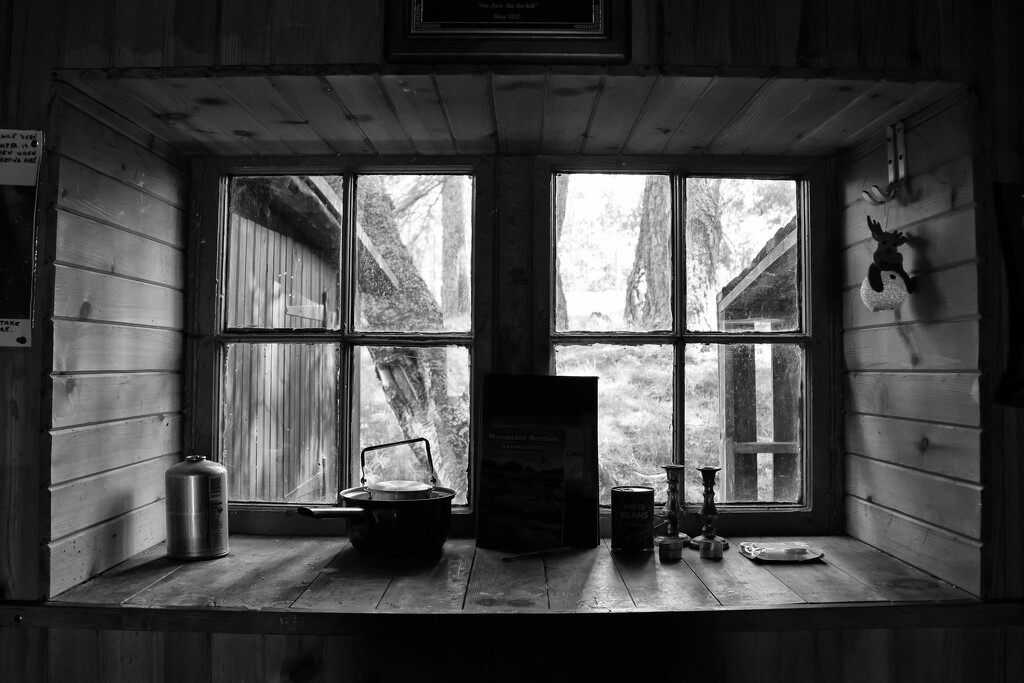 At The Bothy Window by jamibann