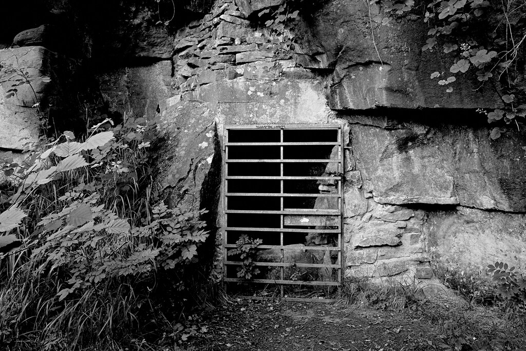 Cave Door by allsop