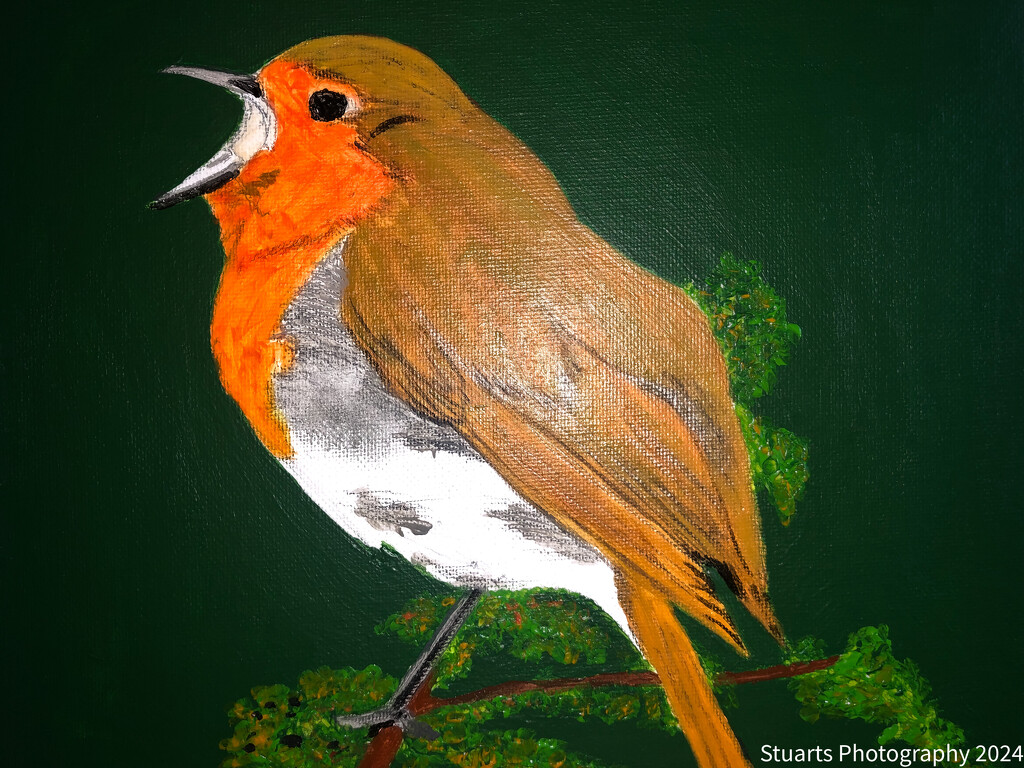 Robin (painting) by stuart46