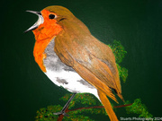 7th Jun 2024 - Robin (painting)