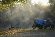 19th May 2024 - Early morn on the the Tumut River