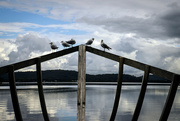 10th May 2024 - The shipbuilders memorial, Kincumber, NSW.