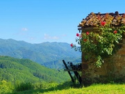 7th Jun 2024 - Rosy Hut