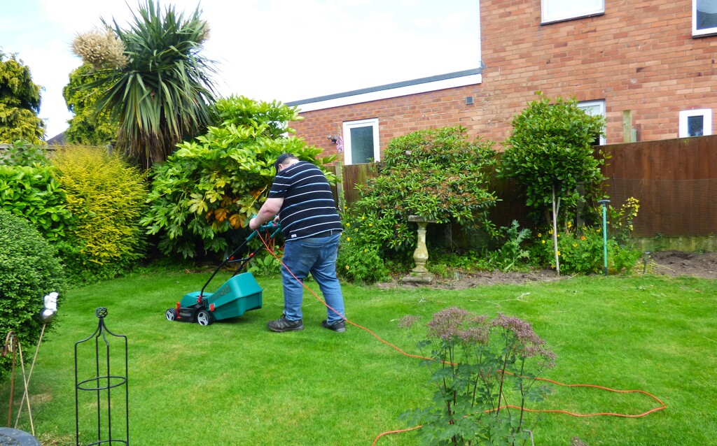 Dry day, new mower into action.  by beryl