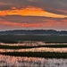 Marsh sunset