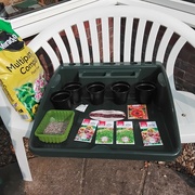 8th Jun 2024 - Sowing seeds.