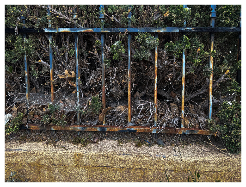Fence problem by jeffjones
