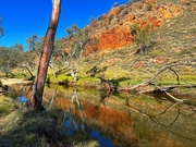 8th Jun 2024 - Outback reflections