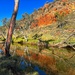 Outback reflections