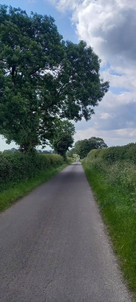 Country lanes by plebster
