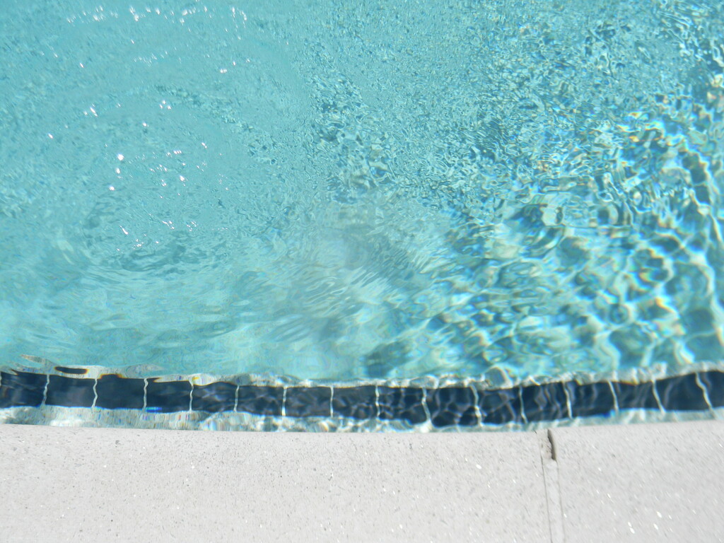 Swimming Pool Water  by sfeldphotos