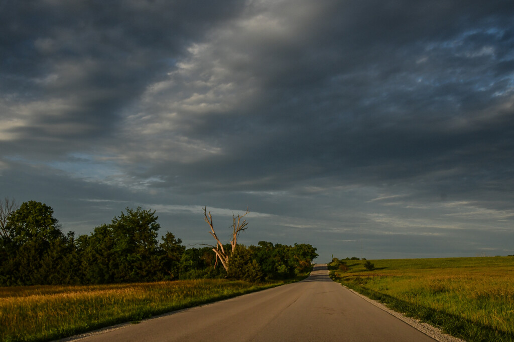 Country Drive at Golden Hour by kareenking