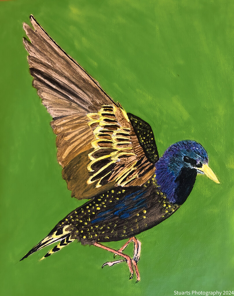Bird (painting) by stuart46