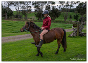 9th Jun 2024 - Abby and Elmo..