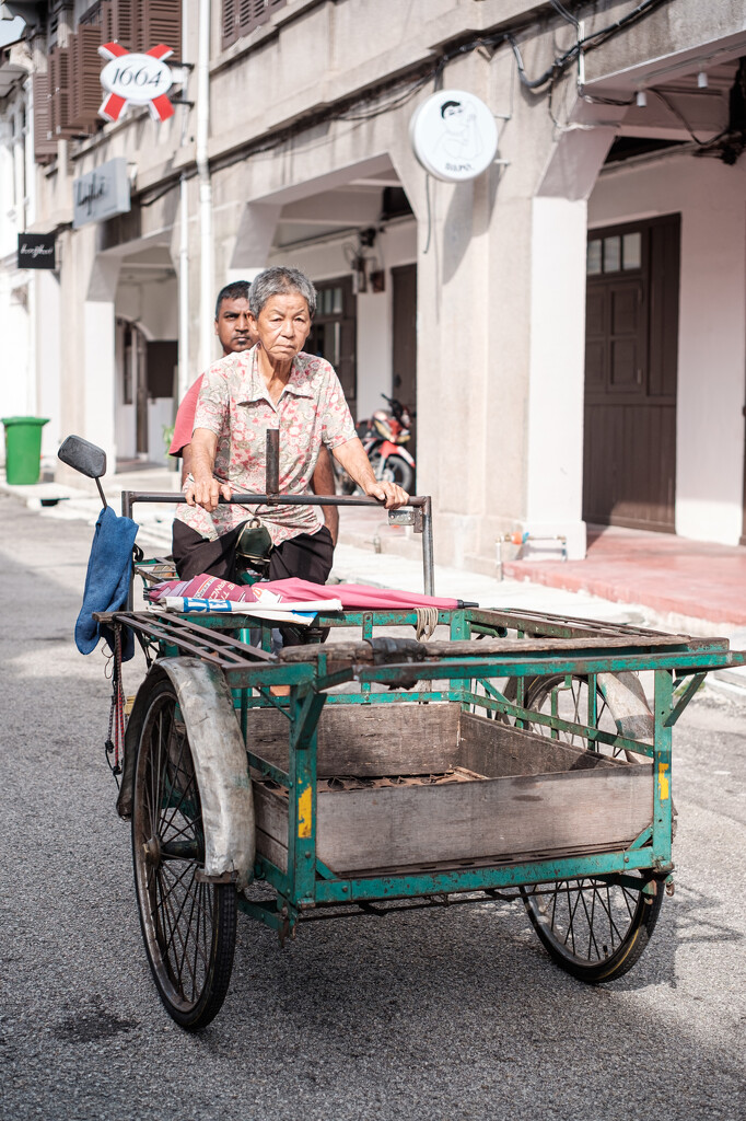 Lady on a tri-shaw cart  by ianjb21